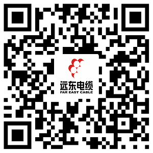 遠(yuǎn)東電纜有限公司